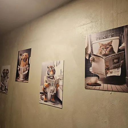 Kemp Hakuna Matata, еко, плаж градина *