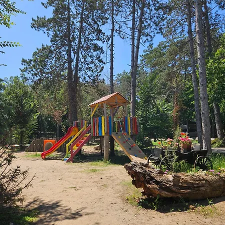 Hakuna Matata, еко, плаж градина