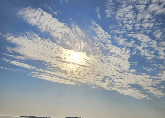 Hakuna Matata, еко, плаж градина * Sozopol